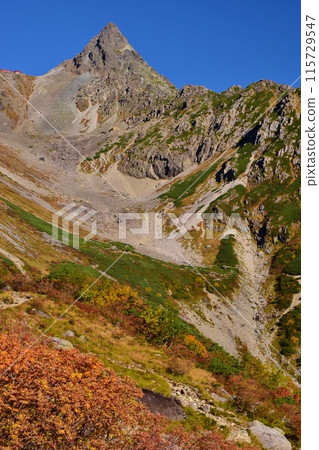 Glacier Park in autumn and colored leaves 115729547