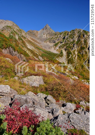 Glacier Park in autumn and colored leaves Glacier Park in autumn and colored leaves 115729548