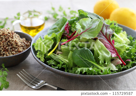 Green salad and boiled quinoa Cooked quinoa 115729587