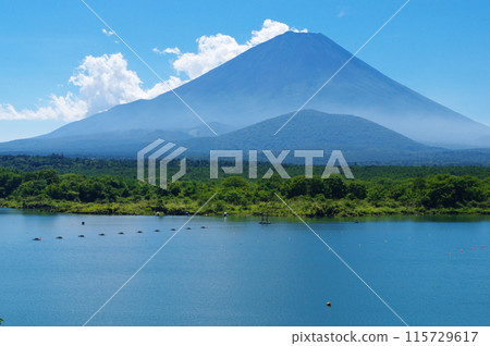 Lake Shoji and Fuji in summer Lake Shoji and Fuji in summer 115729617