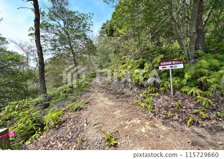 Tanba "Iwao Castle" Stone walls and castle trail made of rough stone Tanba "Iwao Castle" Stone walls and castle trail made of rough stone 115729660
