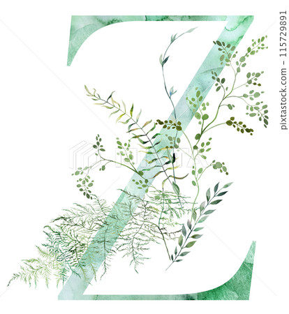 Green letter Z with Watercolor whimsical tender leaves isolated illustration, wedding element 115729891