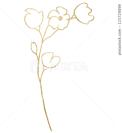 Hand drawn wildflowers, golden outlines flowers isolated illustration, wedding stationery 115729899