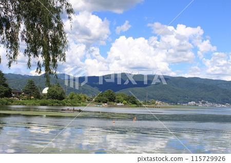 Landscape with a lake 115729926