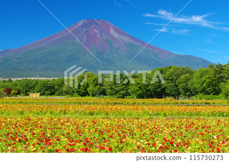 Botanygrass和富士 115730273