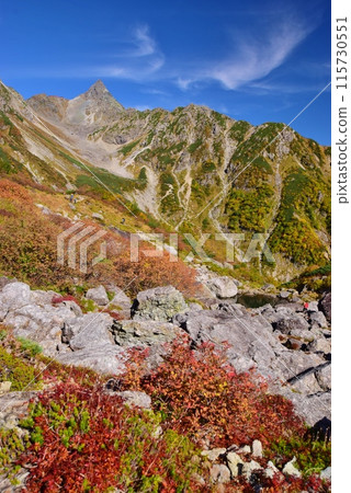 Glacier Park in autumn and colored leaves Glacier Park in autumn and colored leaves 115730551