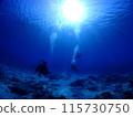 Blue sea and diver 115730750