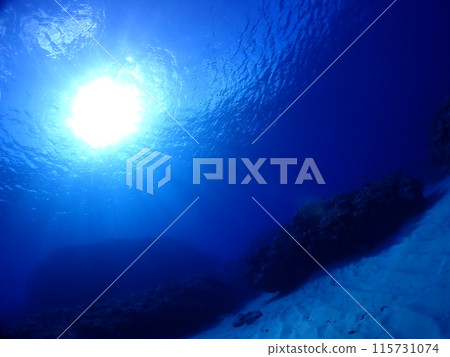 Sky looked up from the sea 115731074