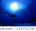 Blue sea and diver 115731745