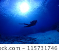Blue sea, sunlight and diver 115731746