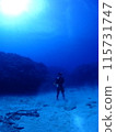 Diver standing upright on the ocean floor 115731747