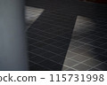 Column and shadow 115731998
