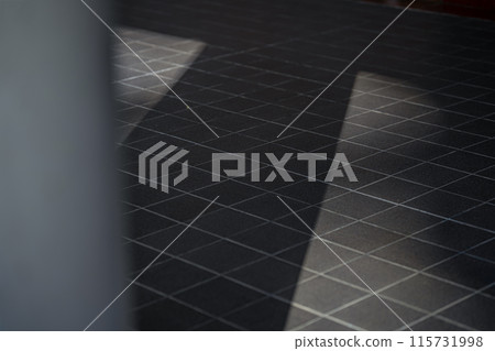 Column and shadow Column and shadow 115731998