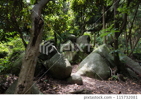Colorful mountain trail scenery 115732081