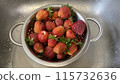 Washing red ripe strawberries in colander, dirty strawberries collected from the garden 115732636