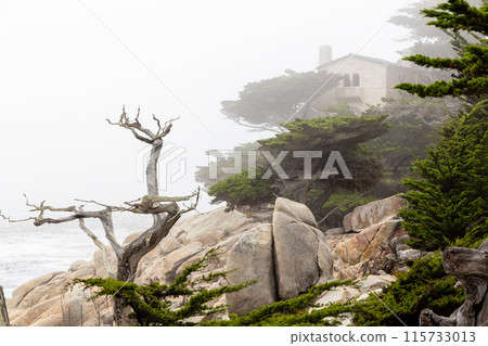 Coastal landscape in California Coastal landscape in California 115733013