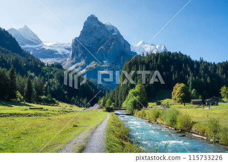 Rosenlaui with wellhorn swiss alps and Reichenbach river in summer at Switzerland 115733226