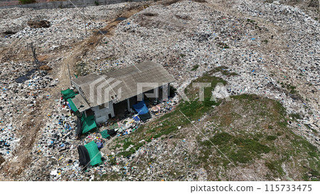 Backgrounds, Garbage, Plastic, Bag, Bird 115733475