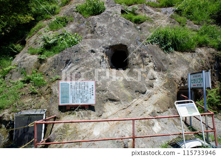 埼玉縣 吉見百名光圍自然棲息地 115733946