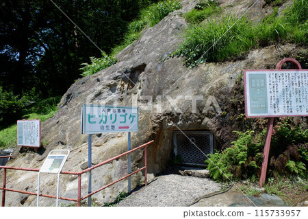 Saitama Prefecture, Yoshimi Hyakuana Luminous Moss Growing Site 115733957