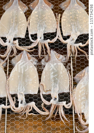 幹魷魚 115734298