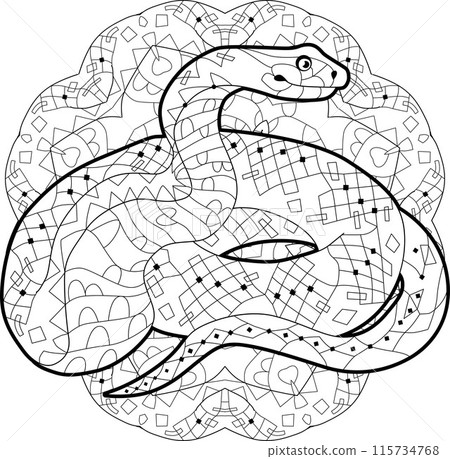 Zentangle snake for coloring on mandala . Hand drawn decorative vector illustration. 115734768