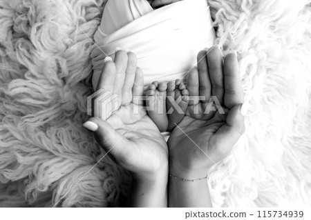 Feet of the newborn on the palms of the parents. The palms of the father and mother are holding the foot of the newborn baby in flokati. Black and white photography of a child's toes, heels and feet. Feet of the newborn on the palms of the parents. The palms of the father and mother are holding the foot of the newborn baby in flokati. Black and white photography of a child's toes, heels and feet. 115734939