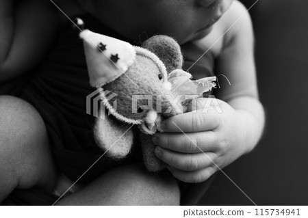 Newborn hands hold a small toy elephant. Close-up of a small hand of a child. Rough baby skin. The concept of education, child care and healthcare. Professional black and white macro photo. Newborn hands hold a small toy elephant. Close-up of a small hand of a child. Rough baby skin. The concept of education, child care and healthcare. Professional black and white macro photo. 115734941