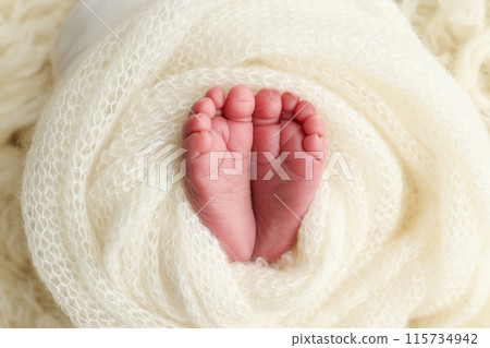 The tiny foot of a newborn baby. Soft feet of a new born in a wool white blanket. Close up of toes, heels and feet of a newborn. Macro photography. The tiny foot of a newborn baby. Soft feet of a new born in a wool white blanket. Close up of toes, heels and feet of a newborn. Macro photography. 115734942