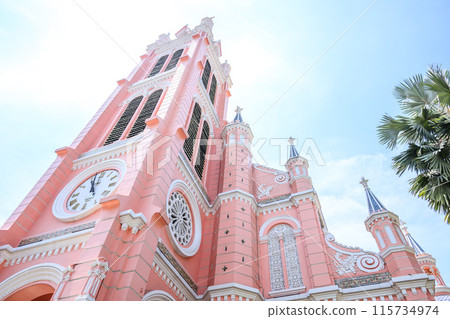 Pink Tan Dinh Church, Vietnam 115734974