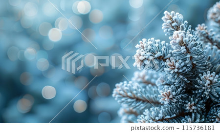 Frosted pine branches and berries arranged against a blue background with snowflakes. Frosted pine branches and berries arranged against a blue background with snowflakes. 115736181