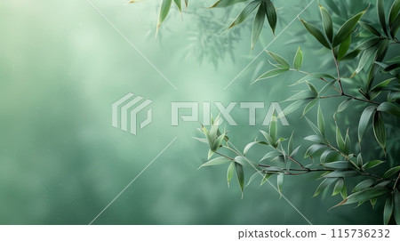 Minimalist bamboo background with green bamboo leaves against a soft green backdrop. Minimalist bamboo background with green bamboo leaves against a soft green backdrop. 115736232