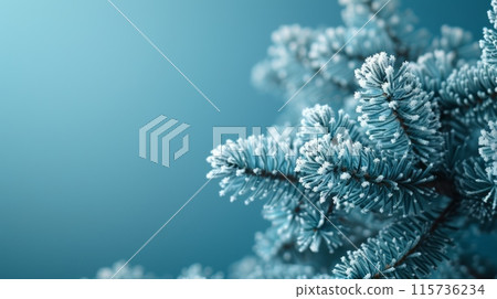 Frosted pine branches and berries arranged against a blue background with snowflakes. Frosted pine branches and berries arranged against a blue background with snowflakes. 115736234