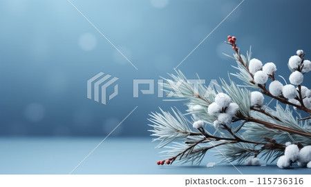 Frosted pine branches and berries arranged against a blue background with snowflakes. 115736316
