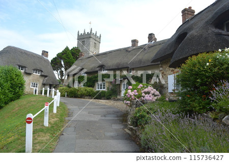 懷特島村 115736427