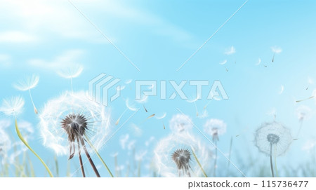 Dandelion seeds dispersing in the air against a soft blue background with bokeh effects. 115736477