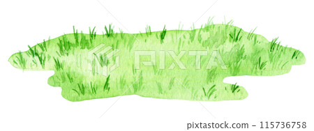 watercolor drawing, green lawn. cute isolated illustration with green grass 115736758