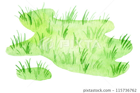 watercolor drawing, green lawn. cute isolated illustration with green grass 115736762