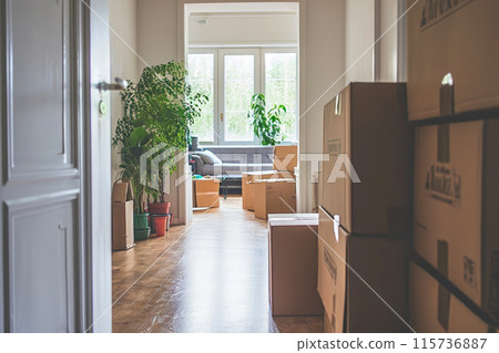 Empty Canvas: A Trendy Residence Beckons Its Inhabitants 115736887