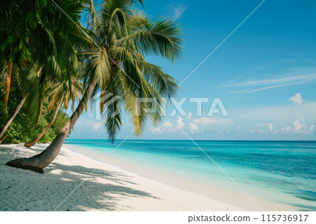 Island Dreams: Paradise Found on a Pristine White Beach Island Dreams: Paradise Found on a Pristine White Beach 115736917