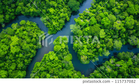 Nature's Canvas: A Sunny Day Over Rainforest River 115737082