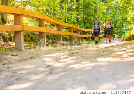 couple backpacker hiking in forest pathway 115737477