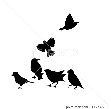 Silhouettes of small birds standing and flying. hand drawing. Not AI, Vector illustration 115737738
