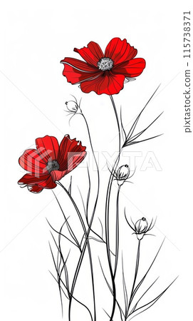 A black and white line drawing of two red cosmos flowers with stems and buds on a white background. A black and white line drawing of two red cosmos flowers with stems and buds on a white background. 115738371