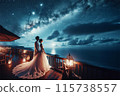 Wedding couple looking up at the night sky 115738557