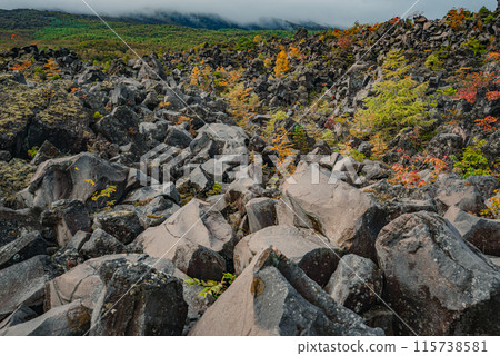 秋天的鬼王大花園【東區嬬戀村】 115738581