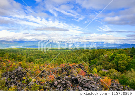 Onioshidashi Park in Autumn [Tsumagoi Village, Agatsuma District] 115738899
