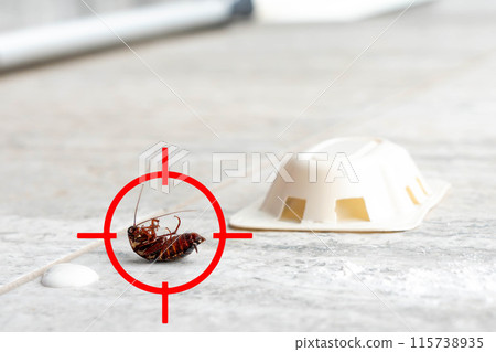 Red gun target aiming on dead cockroach upside down on the floor. Pest control concept Red gun target aiming on dead cockroach upside down on the floor. Pest control concept 115738935