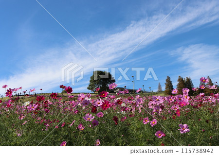 海風吹過的宇宙場 -2 115738942