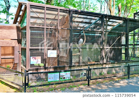Obihiro Zoo Condor and Owl House 115739054